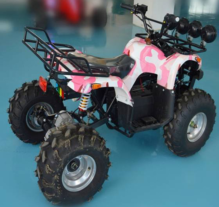 adult beach buggy